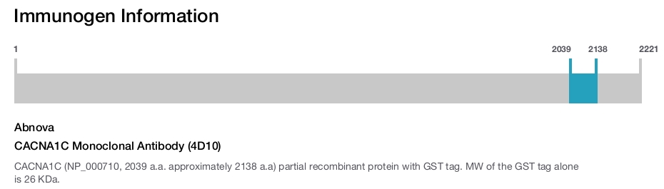 CACNA1C Monoclonal Antibody (4D10)