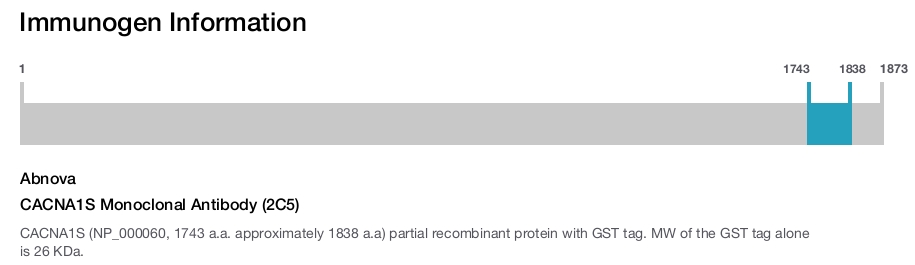 CACNA1S Monoclonal Antibody (2C5)