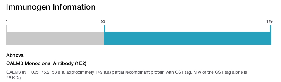 CALM3 Monoclonal Antibody (1E2)