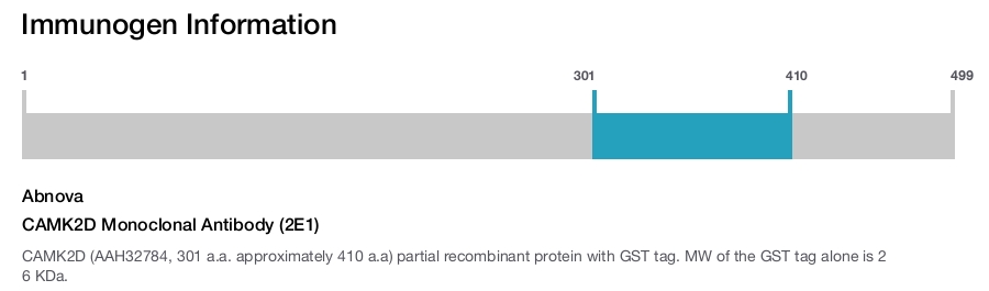 CAMK2D Monoclonal Antibody (2E1)