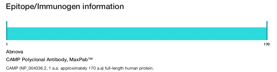 CAMP Polyclonal Antibody, MaxPab&trade;