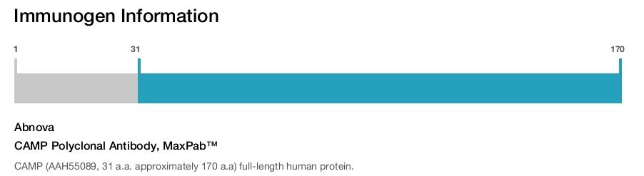 CAMP Polyclonal Antibody, MaxPab™