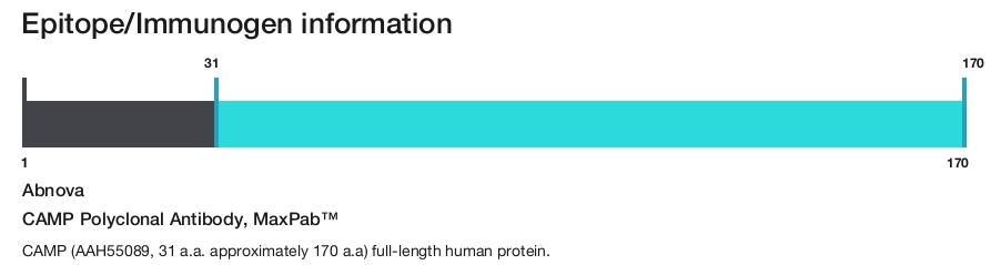 CAMP Polyclonal Antibody, MaxPab&trade;
