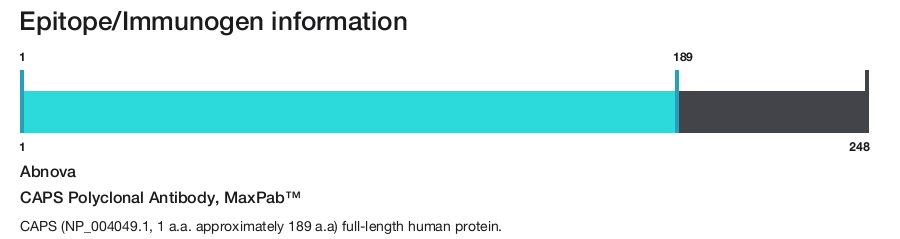 CAPS Polyclonal Antibody, MaxPab&trade;