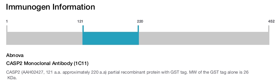CASP2 Monoclonal Antibody (1C11)