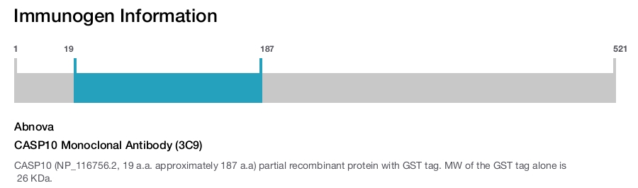 CASP10 Monoclonal Antibody (3C9)