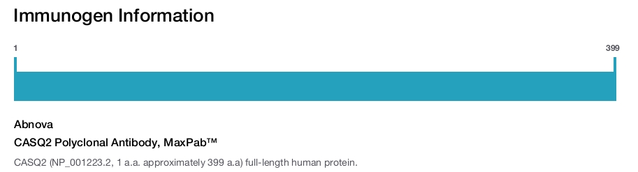 CASQ2 Polyclonal Antibody, MaxPab&trade;