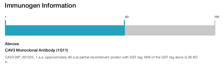 CAV3 Monoclonal Antibody (1G11)