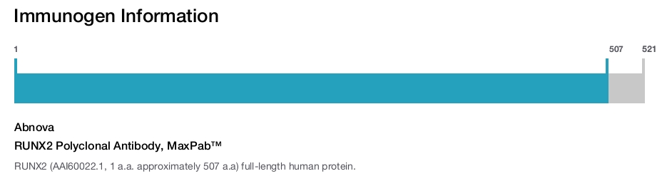 RUNX2 Polyclonal Antibody, MaxPab&trade;