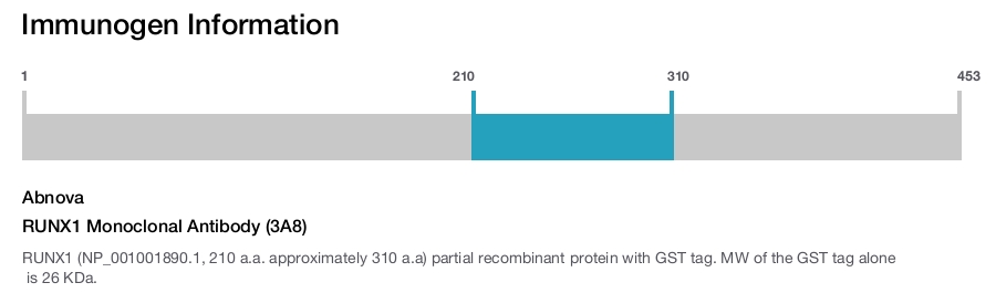 RUNX1 Monoclonal Antibody (3A8)