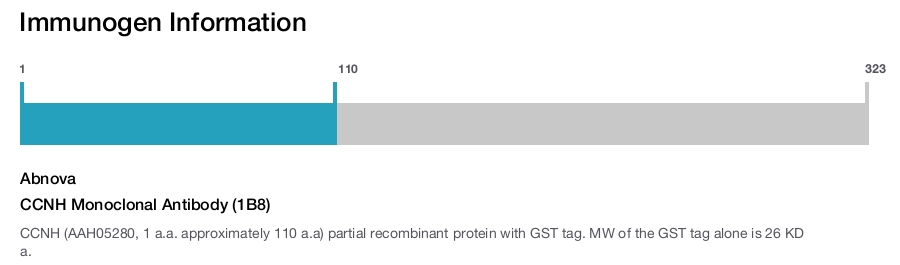 CCNH Monoclonal Antibody (1B8)
