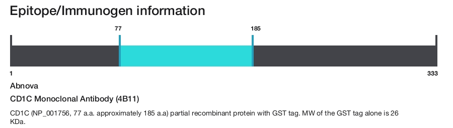 CD1C Monoclonal Antibody (4B11)