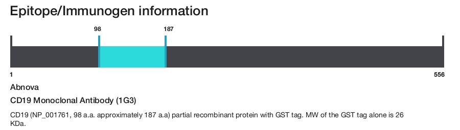 CD19 Monoclonal Antibody (1G3)