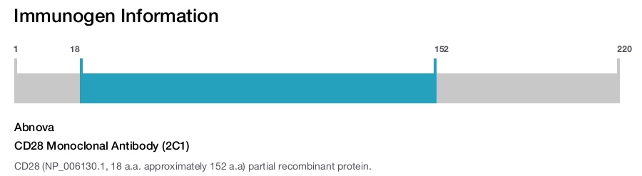 CD28 Monoclonal Antibody (2C1)