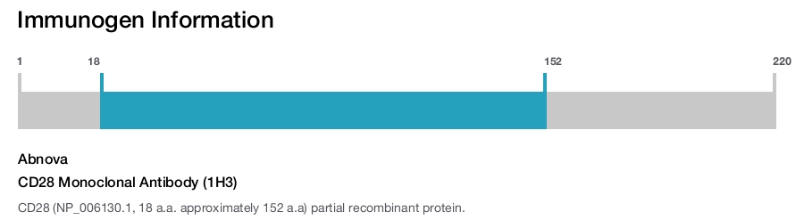 CD28 Monoclonal Antibody (1H3)