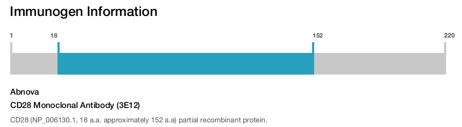CD28 Monoclonal Antibody (3E12)