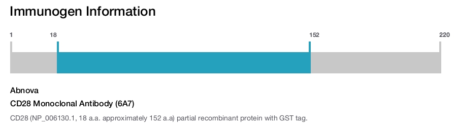 CD28 Monoclonal Antibody (6A7)