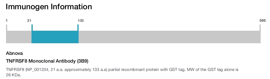 TNFRSF8 Monoclonal Antibody (3B9)