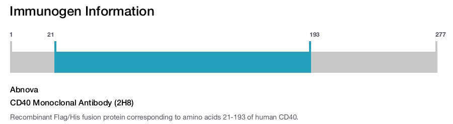 CD40 Monoclonal Antibody (2H8)