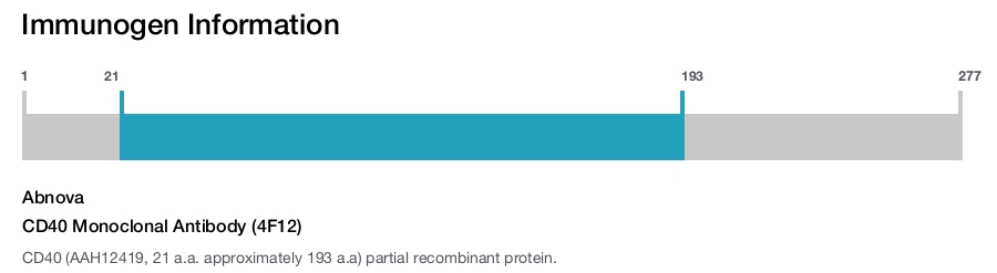CD40 Monoclonal Antibody (4F12)