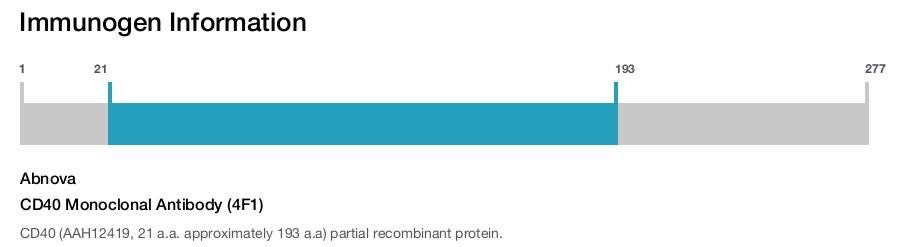 CD40 Monoclonal Antibody (4F1)