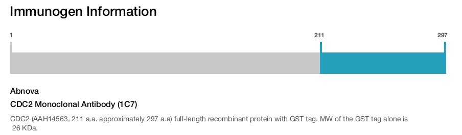 CDC2 Monoclonal Antibody (1C7)