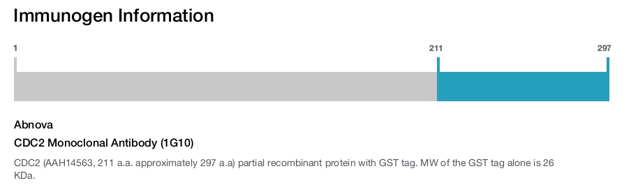 CDC2 Monoclonal Antibody (1G10)