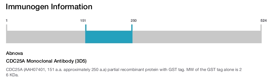 CDC25A Monoclonal Antibody (3D5)