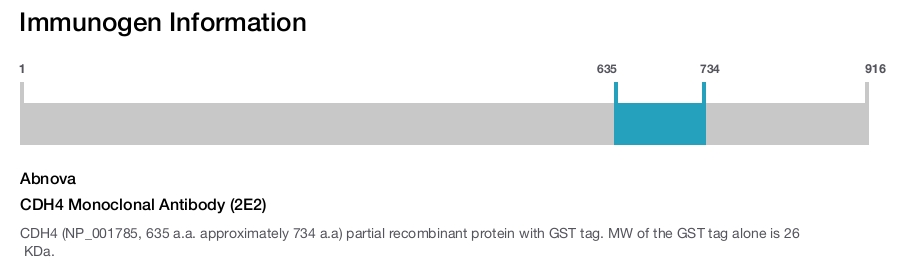 CDH4 Monoclonal Antibody (2E2)