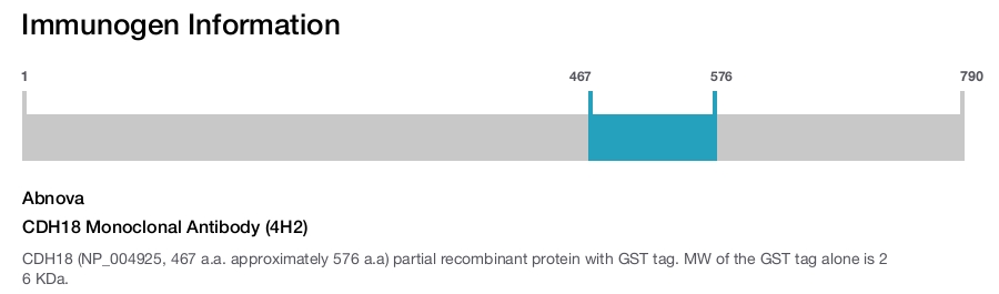 CDH18 Monoclonal Antibody (4H2)