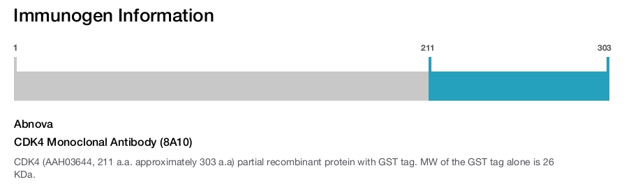 CDK4 Monoclonal Antibody (8A10)