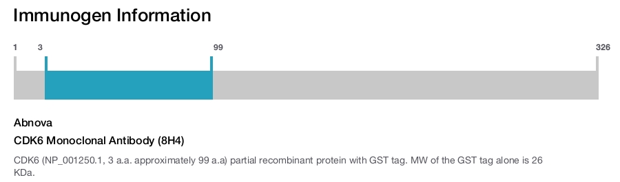 CDK6 Monoclonal Antibody (8H4)