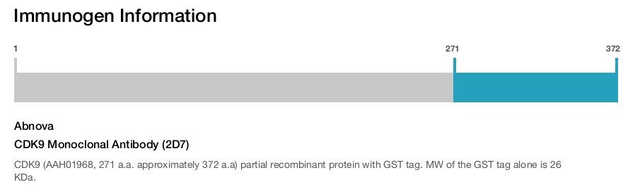 CDK9 Monoclonal Antibody (2D7)