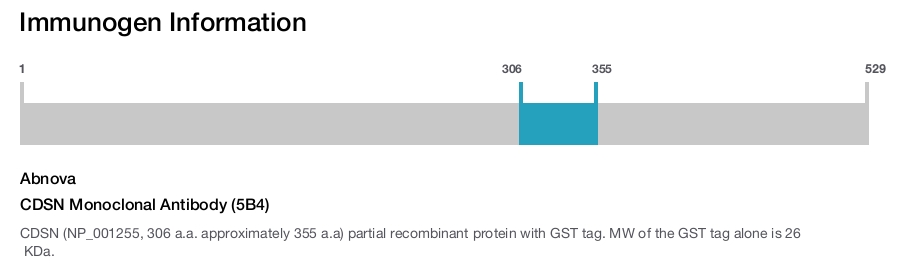 CDSN Monoclonal Antibody (5B4)