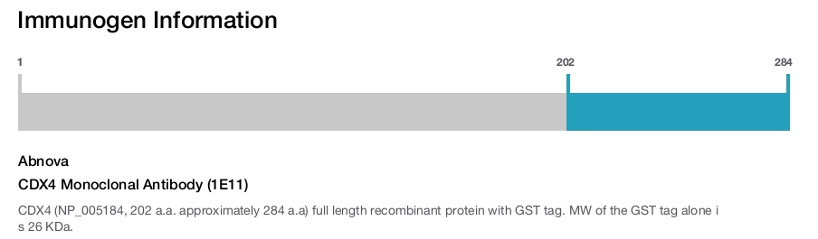 CDX4 Monoclonal Antibody (1E11)