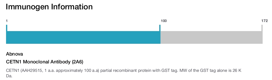 CETN1 Monoclonal Antibody (2A6)