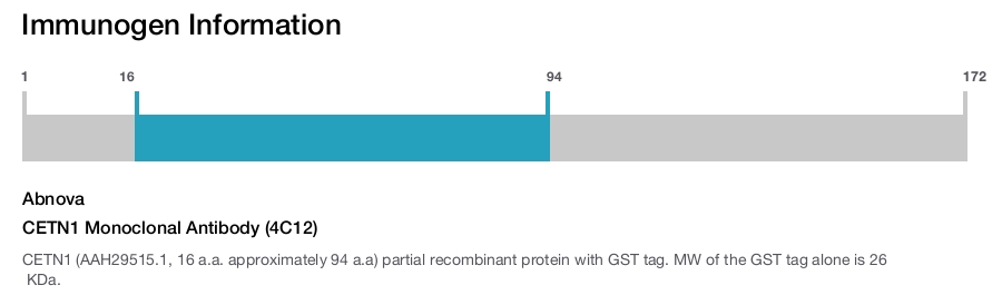 CETN1 Monoclonal Antibody (4C12)
