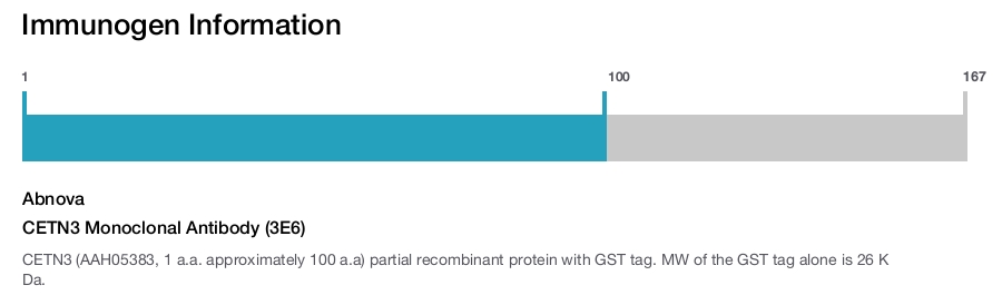 CETN3 Monoclonal Antibody (3E6)