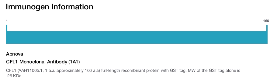 CFL1 Monoclonal Antibody (1A1)