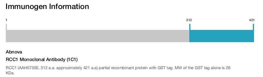 RCC1 Monoclonal Antibody (1C1)