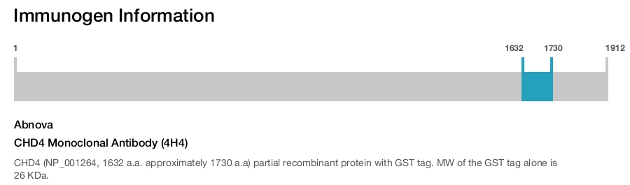 CHD4 Monoclonal Antibody (4H4)