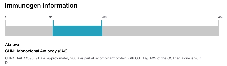 CHN1 Monoclonal Antibody (3A3)