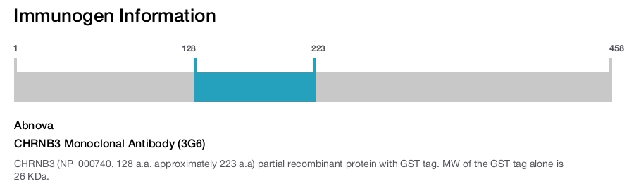 CHRNB3 Monoclonal Antibody (3G6)