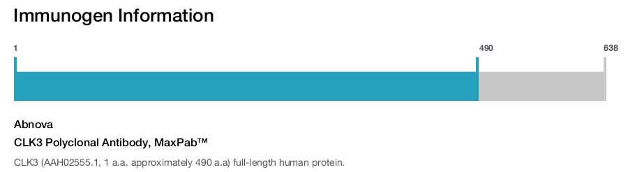 CLK3 Polyclonal Antibody, MaxPab™