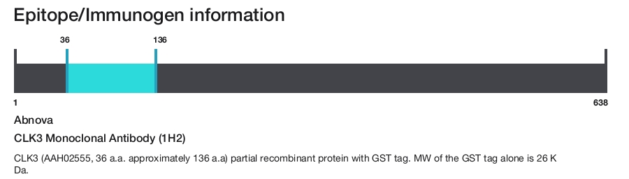 CLK3 Monoclonal Antibody (1H2)