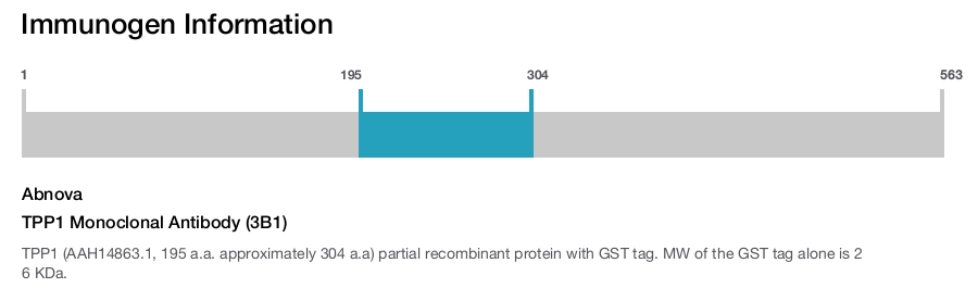 TPP1 Monoclonal Antibody (3B1)