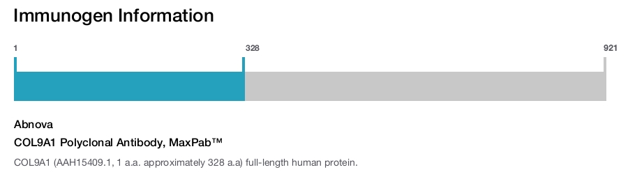 COL9A1 Polyclonal Antibody, MaxPab™