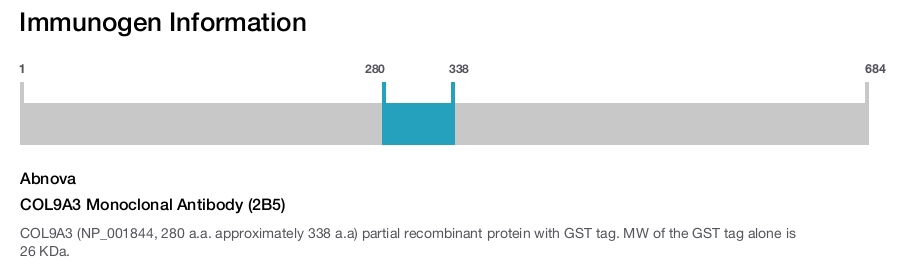 COL9A3 Monoclonal Antibody (2B5)