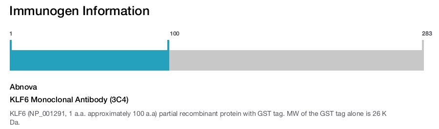 KLF6 Monoclonal Antibody (3C4)