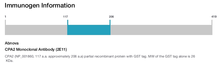 CPA2 Monoclonal Antibody (2E11)